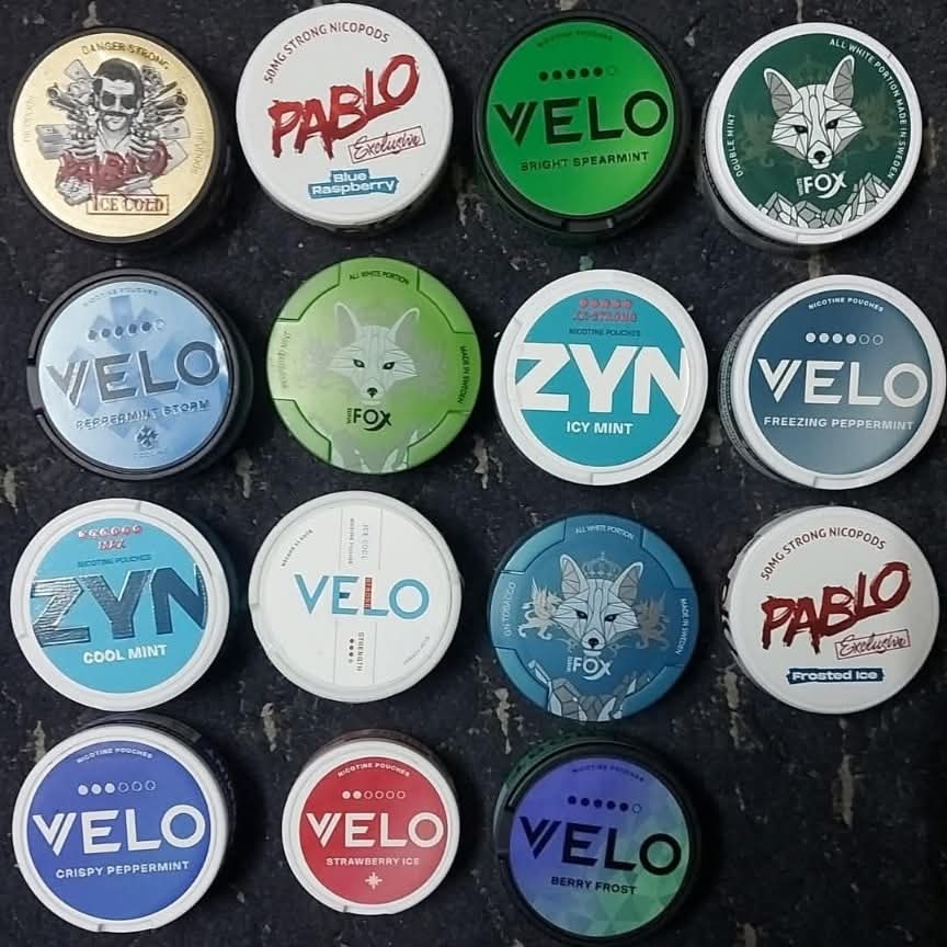 Snus Nicotine Pouches